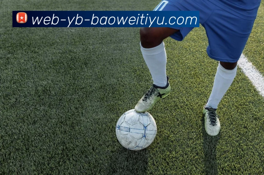 宝威体育服务体系