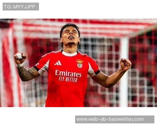 英超前瞻：桑德兰难敌利兹联水晶宫与热刺或将平局收场